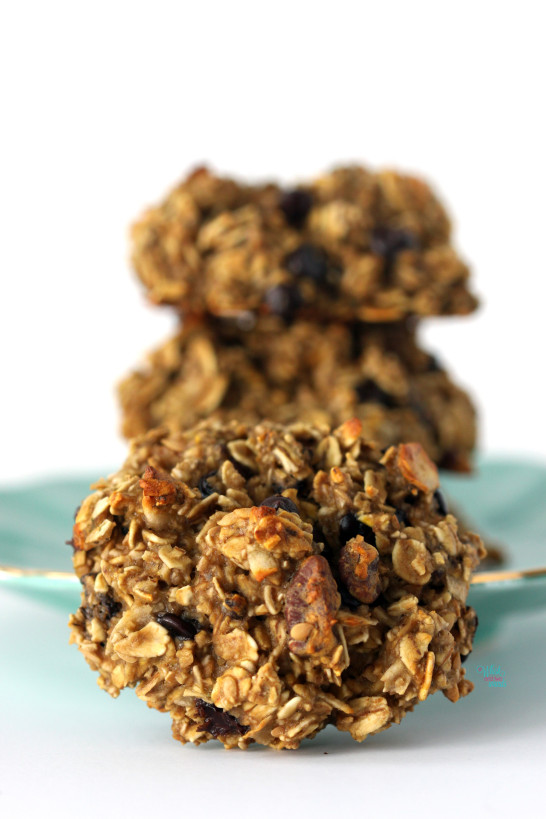 Cranberry Pecan Muesli Cookies 