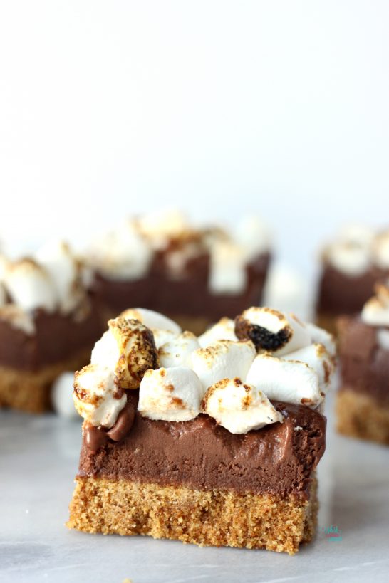 S'more Ice Cream Bars (vegan, gluten free)