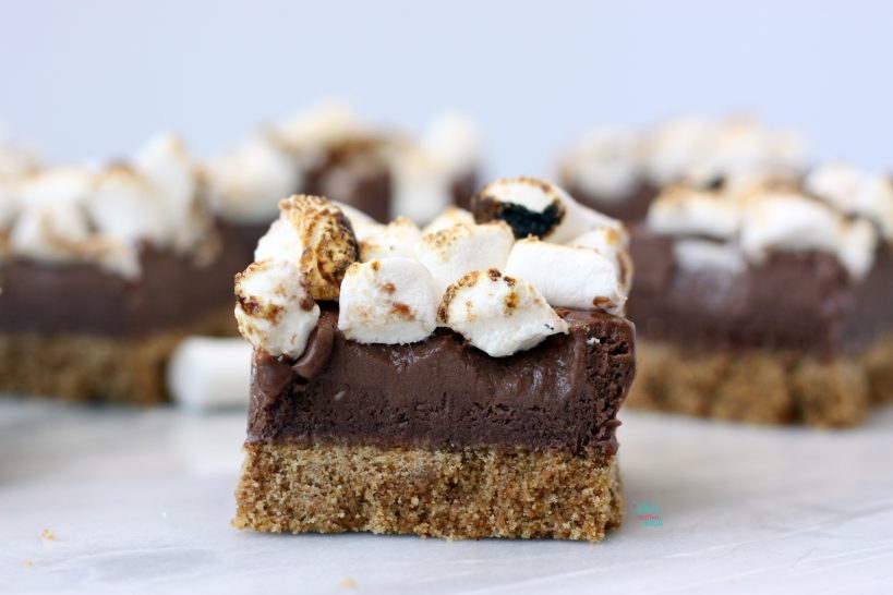 S'more Ice Cream Bars (vegan, gluten free)