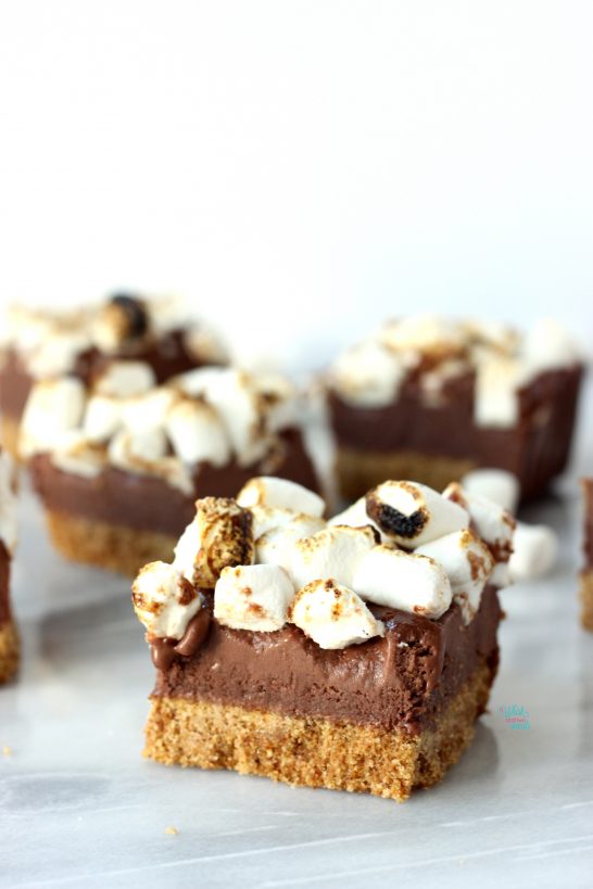 S'more Ice Cream Bars (vegan, gluten free)