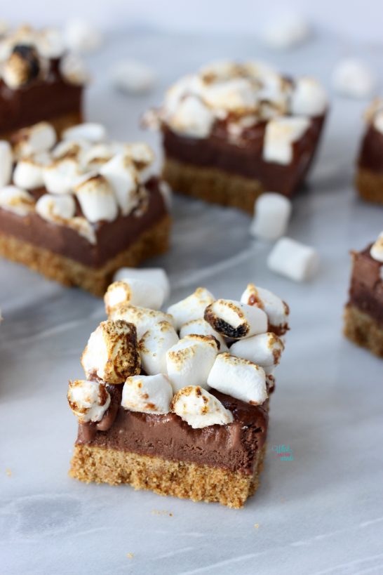 S'more Ice Cream Bars (vegan, gluten free)