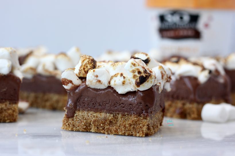 S'more Ice Cream Bars (vegan, gluten free)