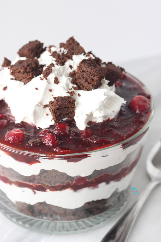 Pumpkin Brownie Cranberry Trifle