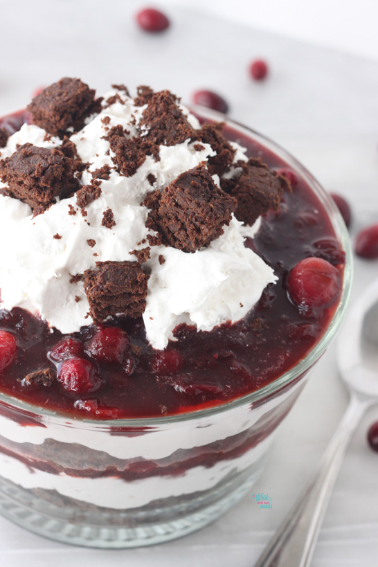 Pumpkin Brownie Cranberry Trifle