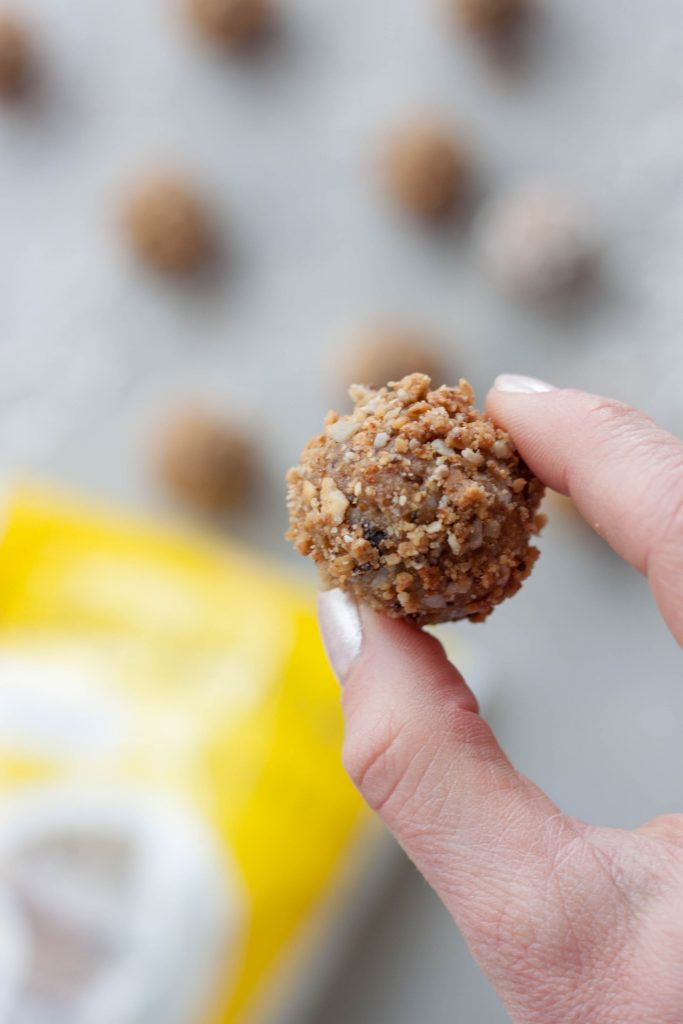 Holding Lemon Berry Coconut Chia Balls