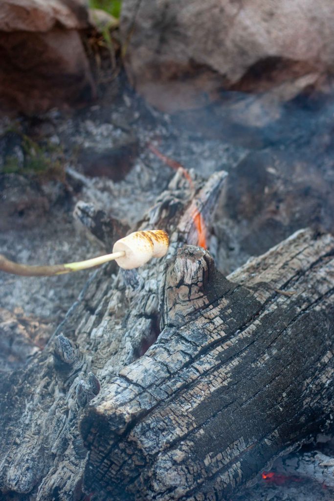 Roasted Marshmallow Popcorn on a Stick