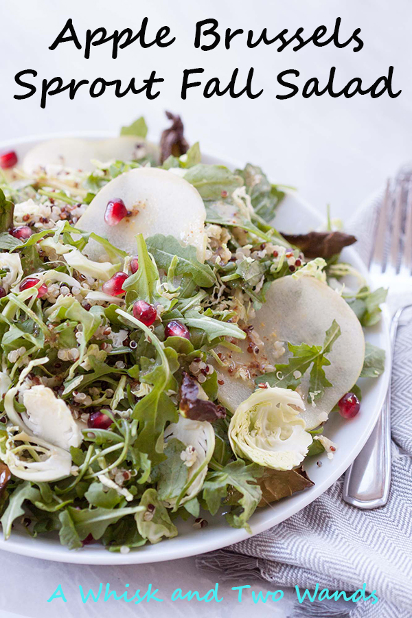 Apple Brussels Sprout Fall Salad is packed with flavor and nutrition pairing shaved and roasted brussels, arugula, apples, pomegranates and more! Perfect for a main dish salad, side dish, or even a salad to bring to Thanksgiving or any get together. Vegan and gluten free friendly.