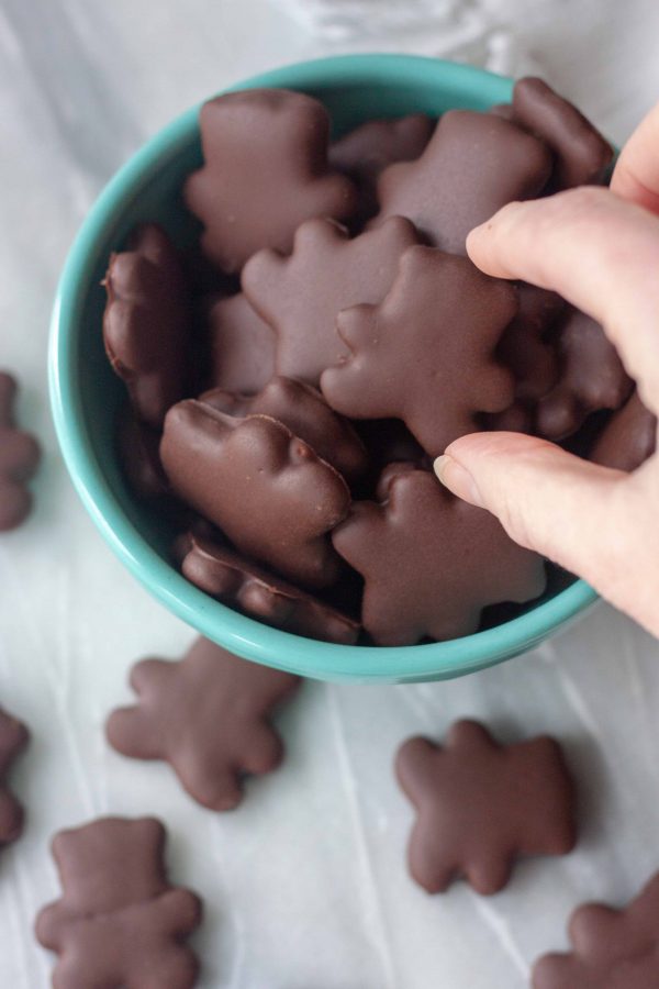 Chocolate Covered Gingerbread Bear Cookies