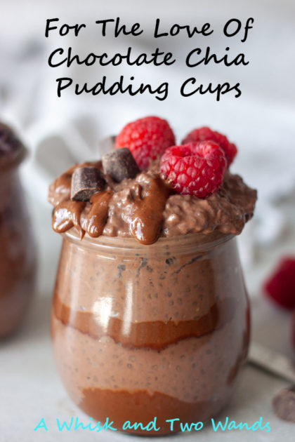 For The Love Of Chocolate Chia Pudding Cups are simple easy to make 2 ingredient chocolate chia pudding with multiple addition and topping options with endless combination options! Perfect for breakfast, snack, or dessert it's a nutrition packed decadent packed pudding cup that will satisfy you. Recipe is gluten free, vegan, and paleo friendly.