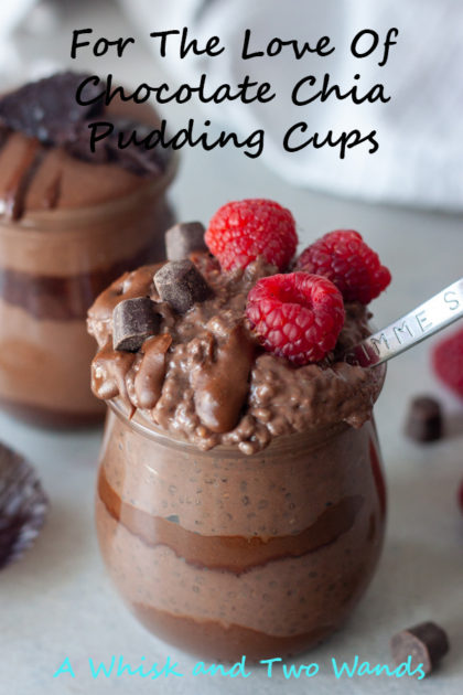 For The Love Of Chocolate Chia Pudding Cups are simple easy to make 2 ingredient chocolate chia pudding with multiple addition and topping options with endless combination options! Perfect for breakfast, snack, or dessert it's a nutrition packed decadent packed pudding cup that will satisfy you. Recipe is gluten free, vegan, and paleo friendly.