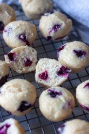 Baking rack with mini blueberry muffins