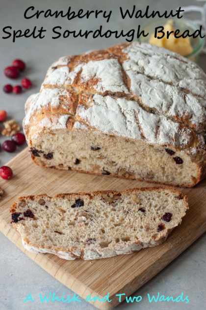 Cranberry Walnut Spelt Sourdough is simply delicious, especially this time of year! Perfect for your Thanksgiving table, or just an average day. I especially love it (usually toasted) topped with honey butter, it doesn't get much better than fresh homemade sourdough!